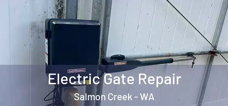  Electric Gate Repair Salmon Creek - WA