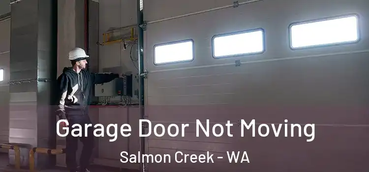 Garage Door Not Moving Salmon Creek - WA
