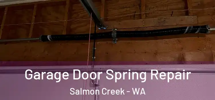  Garage Door Spring Repair Salmon Creek - WA