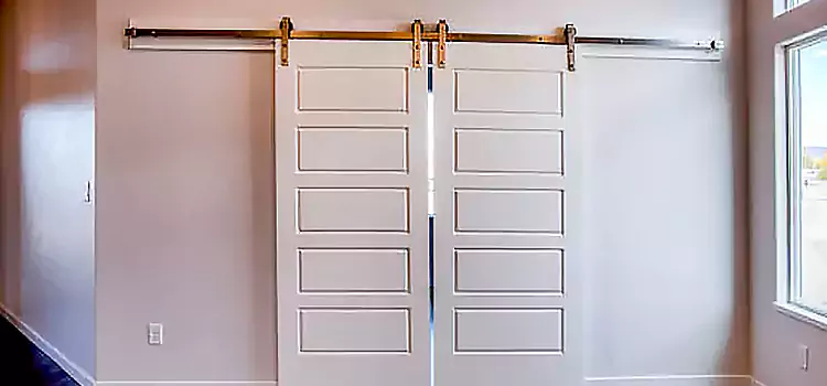 Glass Barn Door with Installation Hardware Kit Salmon Creek