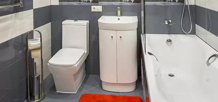 Hansgrohe Shaving Mirror Salmon Creek