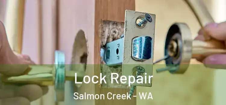  Lock Repair Salmon Creek - WA