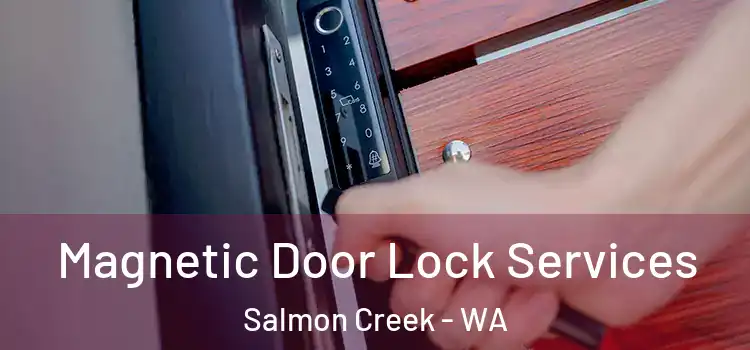 Magnetic Door Lock Services Salmon Creek - WA