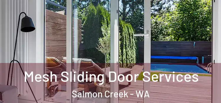  Mesh Sliding Door Services Salmon Creek - WA